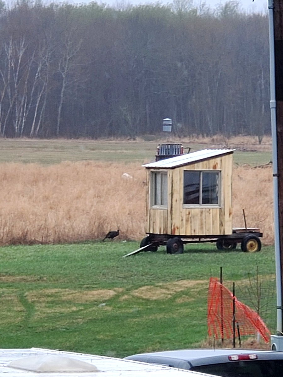 Custom mobile ground blind mounted on military trailer